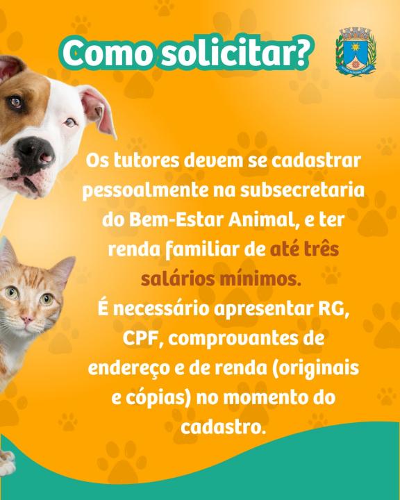 Foto 2 de 3 — Veja como solicitar castração animal de graça em Araraquara